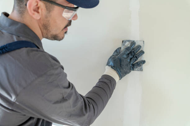 Best Mold Remediation for Healthcare Facilities  in Kirkland, WA