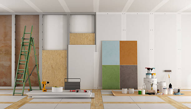 Professional Mold Removal in Kirkland, WA